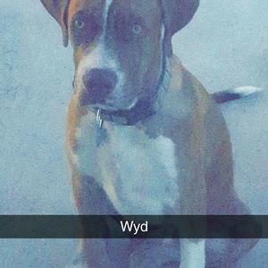 Meet your Posher, Nick