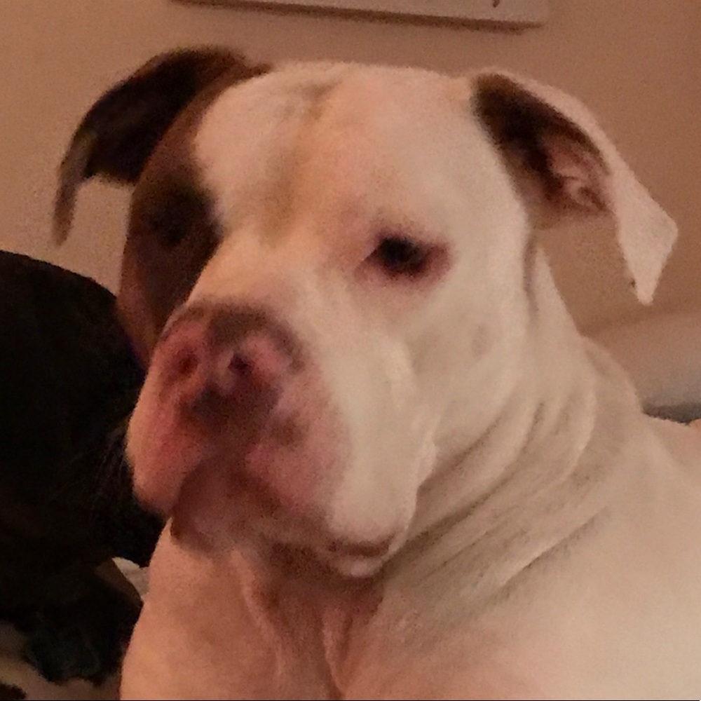 Meet your Posher, Jeanna