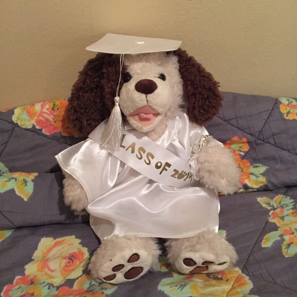 Graduation Build A Bear