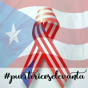 Meet your Posher, Edwin