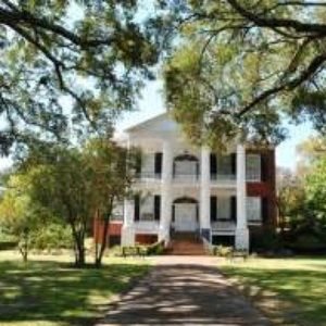 Meet your Posher, Elisha