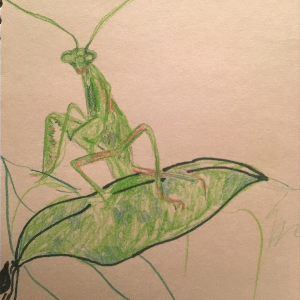 Meet your Posher, Madeline