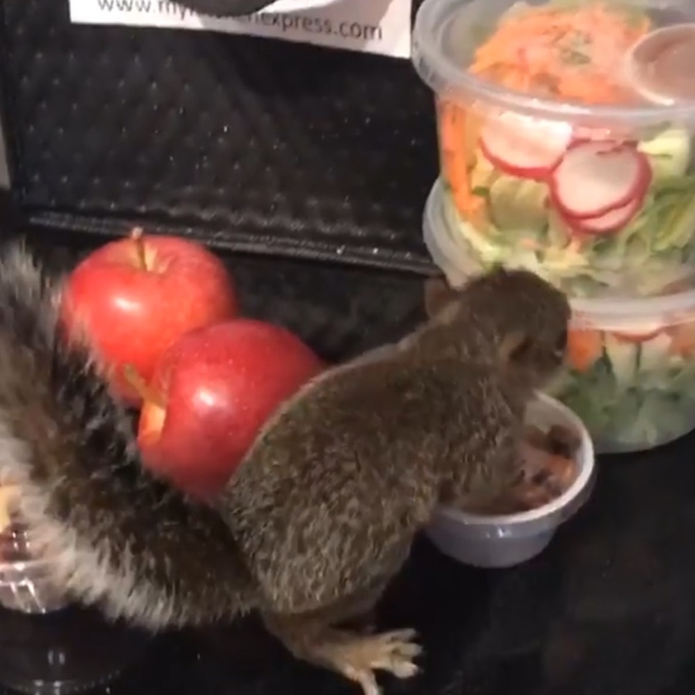 Meet your Posher, Veronica