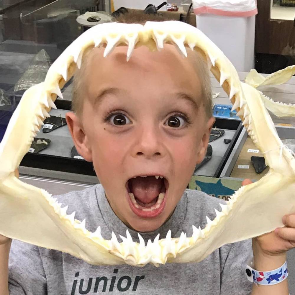 Meet your Posher, Alicia