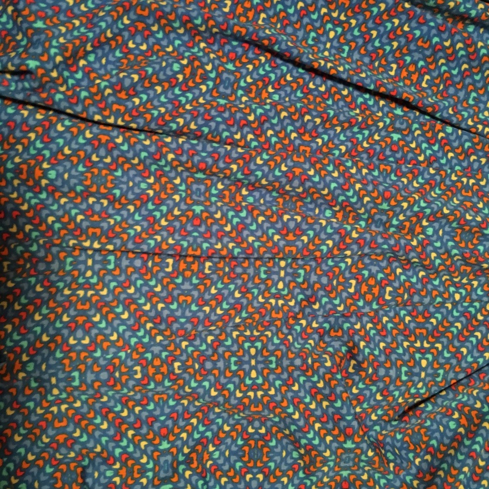 L LuLaRoe Madison skirt