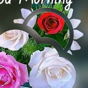 Meet your Posher, Manjula