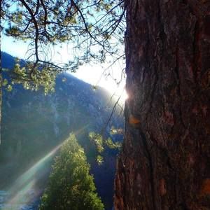 Meet your Posher, Mason