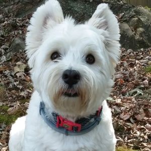 Meet your Posher, Laurie