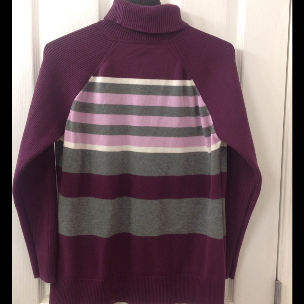 Beautiful Northcrest Turtle Neck Sweater