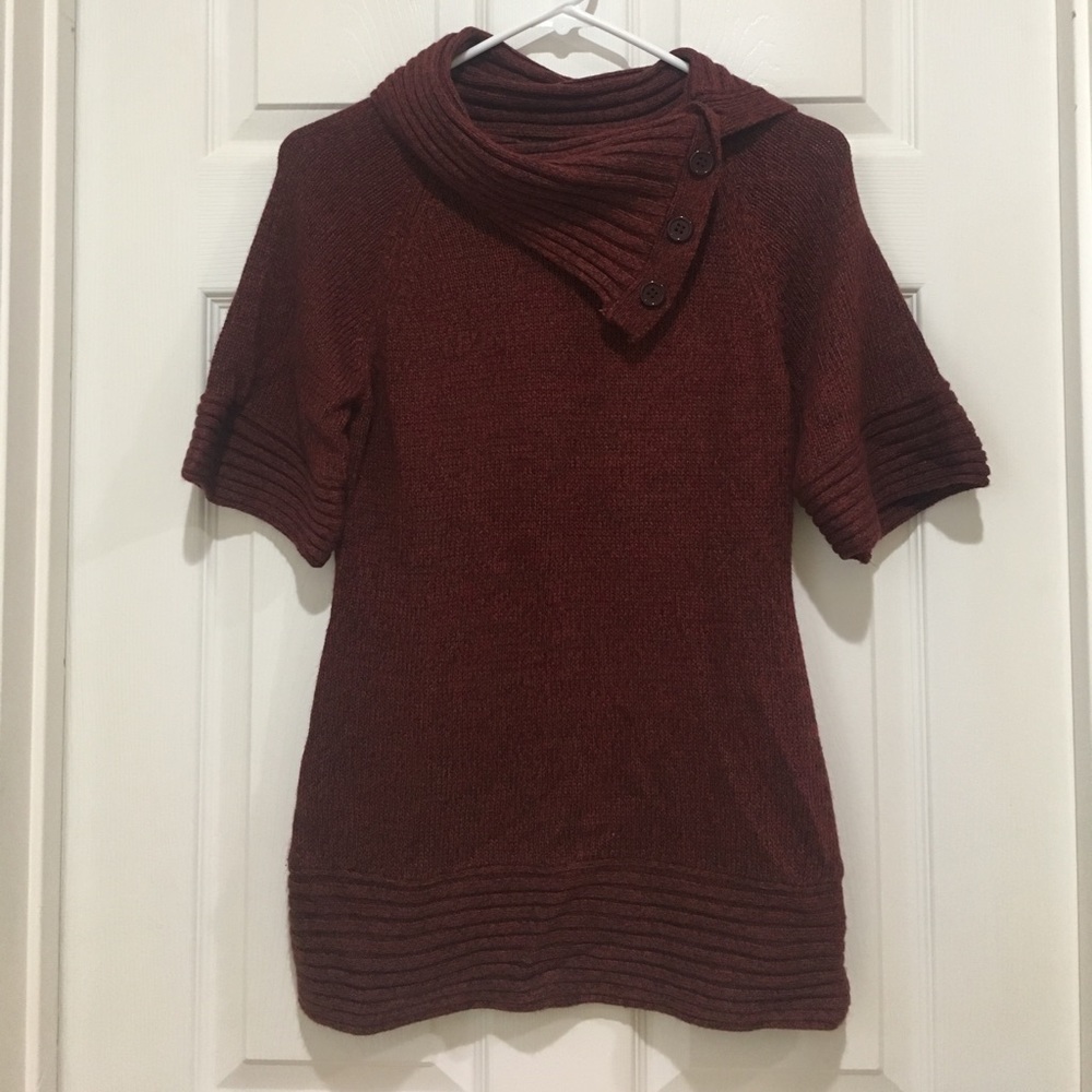 The Limited short-sleeved sweater top