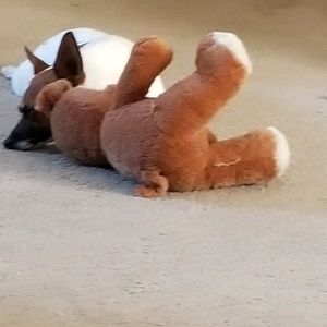 Meet your Posher, Kelly