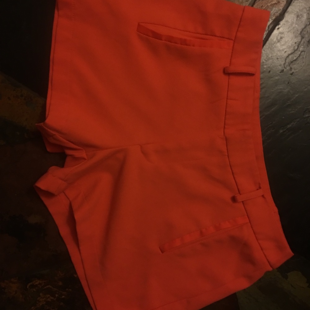 🎃Orange Shorts🎃