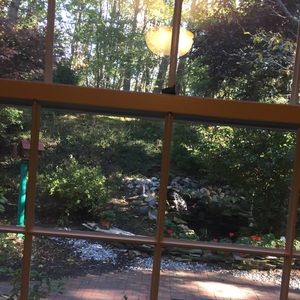 Meet your Posher, Shahnaz