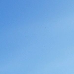 Meet your Posher, Tamra