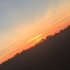 Meet your Posher, Harley