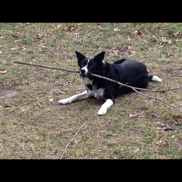 Meet your Posher, Matthew - Picture 1 of 1