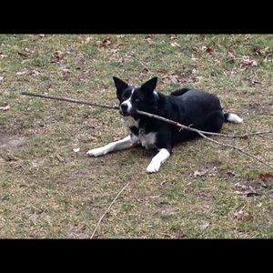 Meet your Posher, Matthew