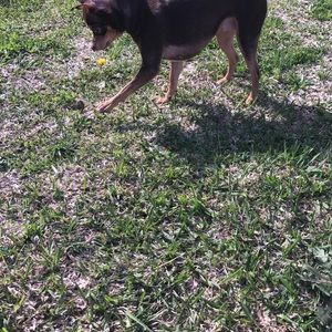 Meet your Posher, Gaby