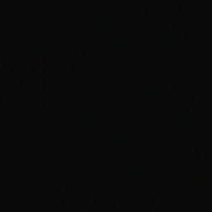 Meet your Posher, Dani