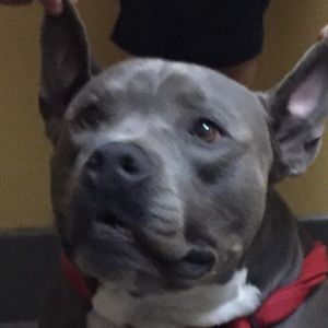 Meet your Posher, Carlos