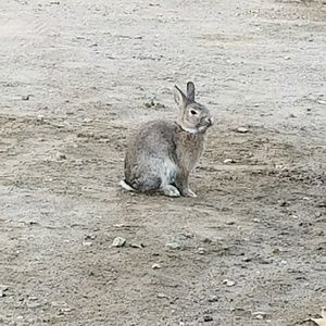 Meet your Posher, Eloisa