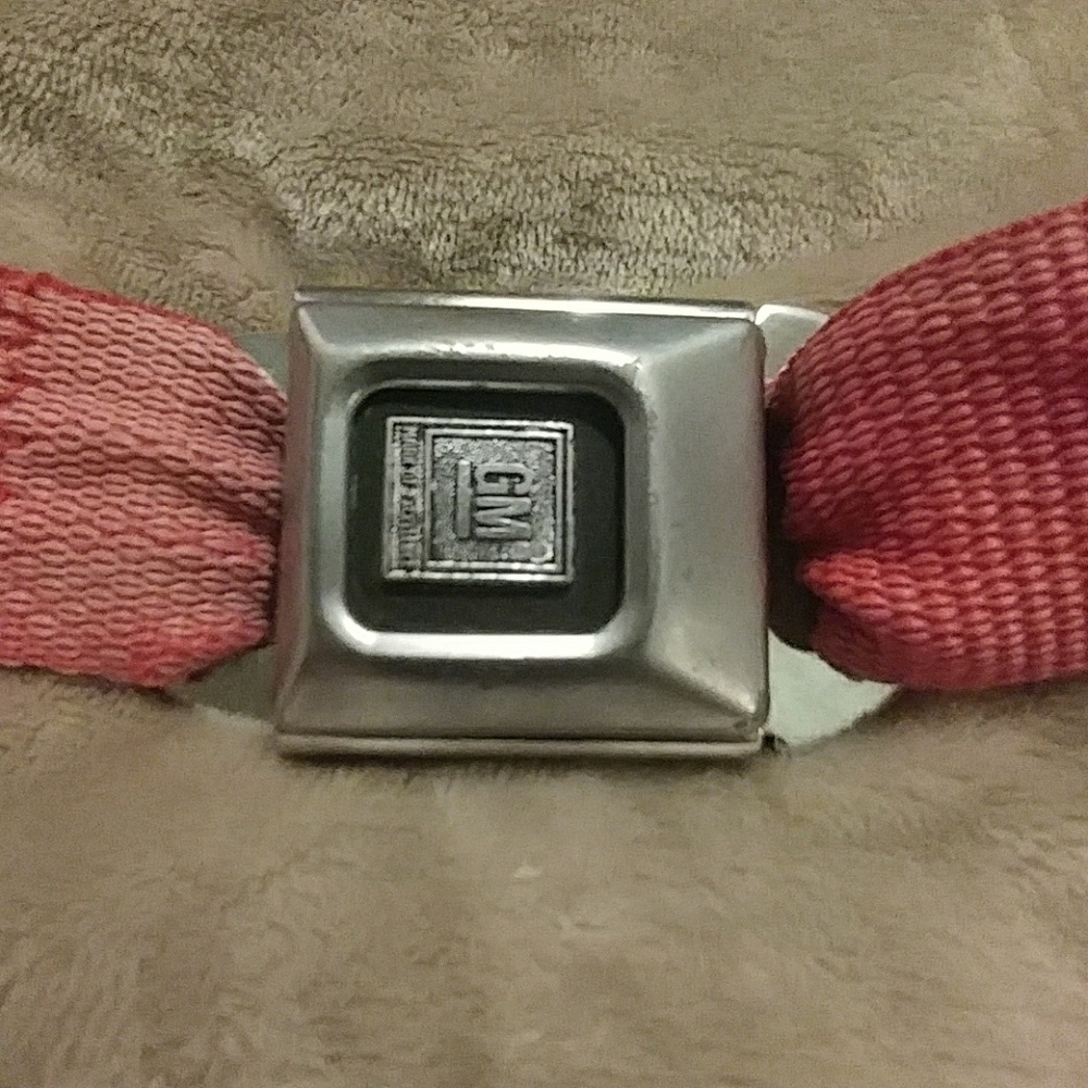 Red Seatbelt Belt