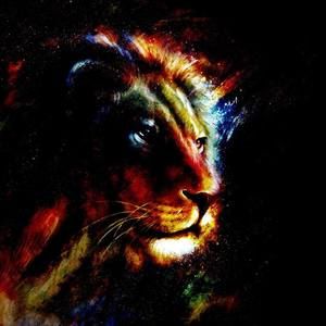 Meet your Posher, Drake