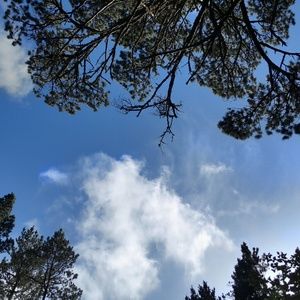 Meet your Posher, Katt