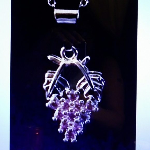 🍇 Grapes Pendant & 925 Chain Necklace - Picture 5 of 5