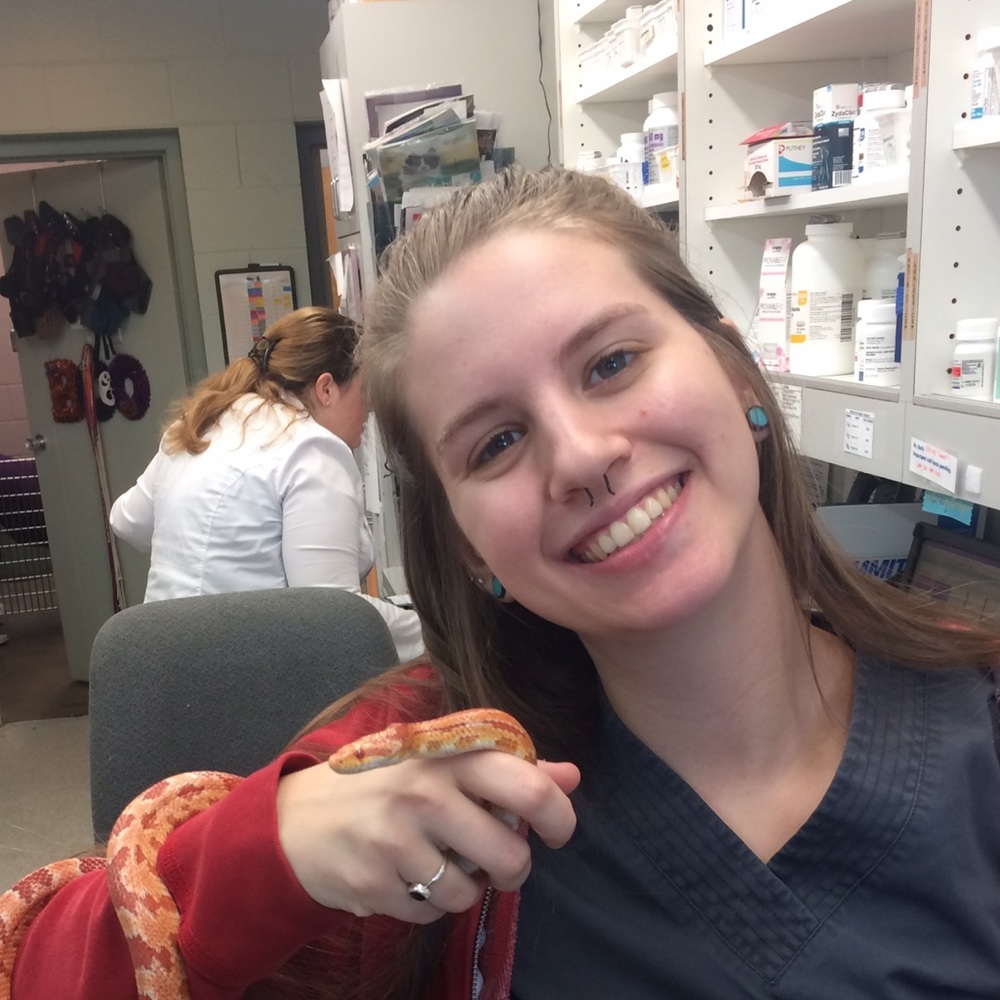 Meet your Posher, Whitney