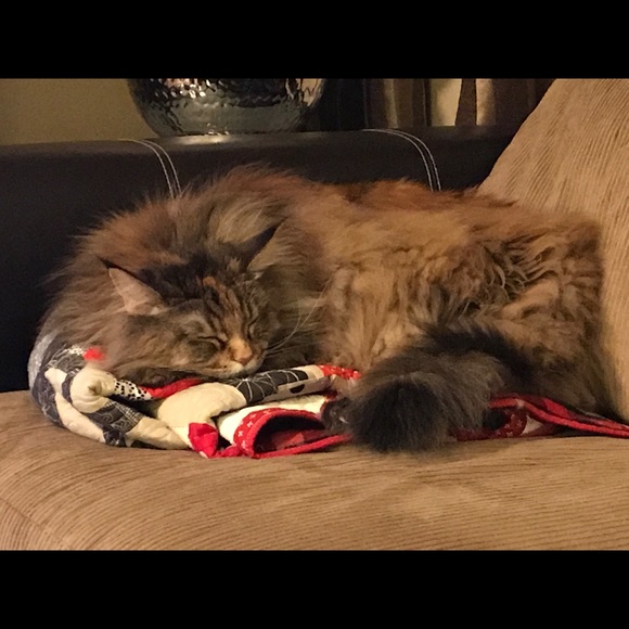 Meet your Posher, Ruth - Picture 1 of 1