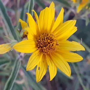 Meet your Posher, Pam