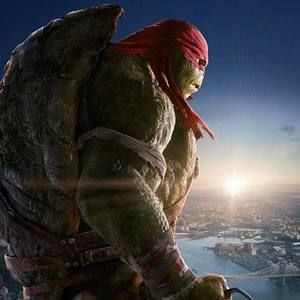 Meet your Posher, Raphael