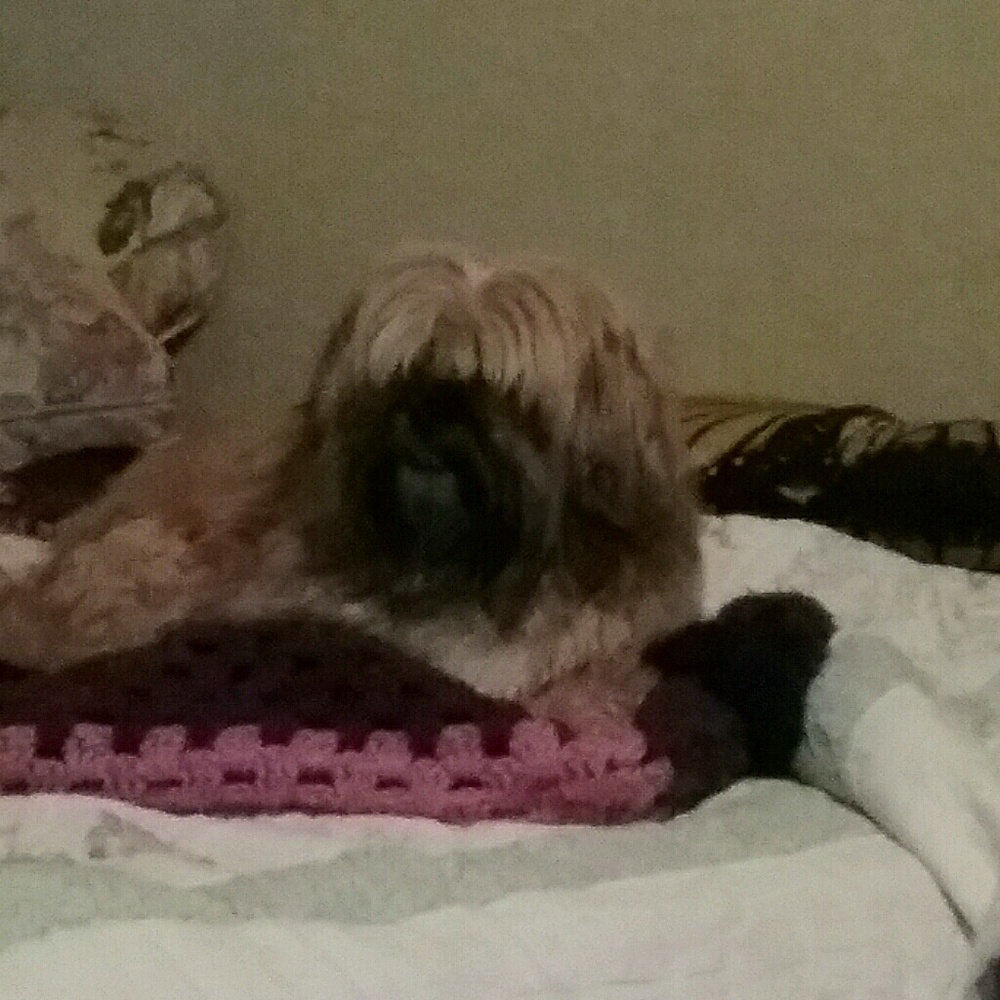 Meet your Posher, Mitzi