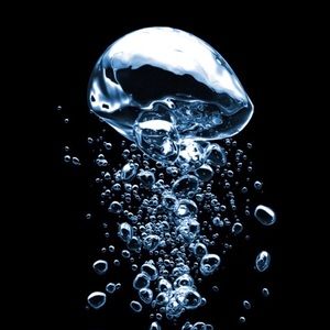 Meet your Posher, Alexia