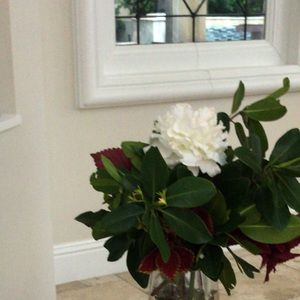 Meet your Posher, Leila