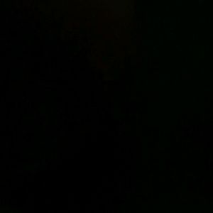 Meet your Posher, Shaneika