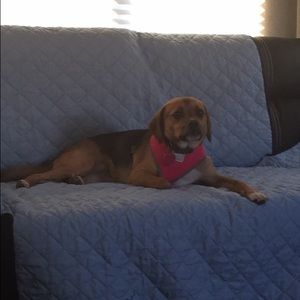 Meet your Posher, Brooke