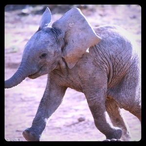 Meet your Posher, Janice