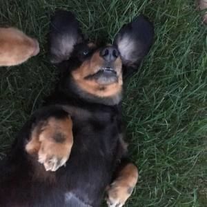 Meet your Posher, Kelly