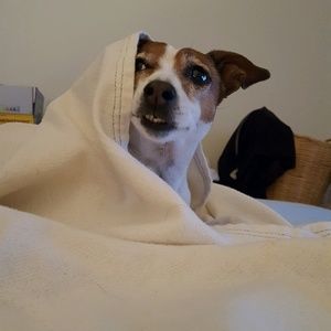 Meet your Posher, Patricia