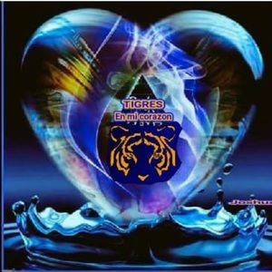 Meet your Posher, Romana