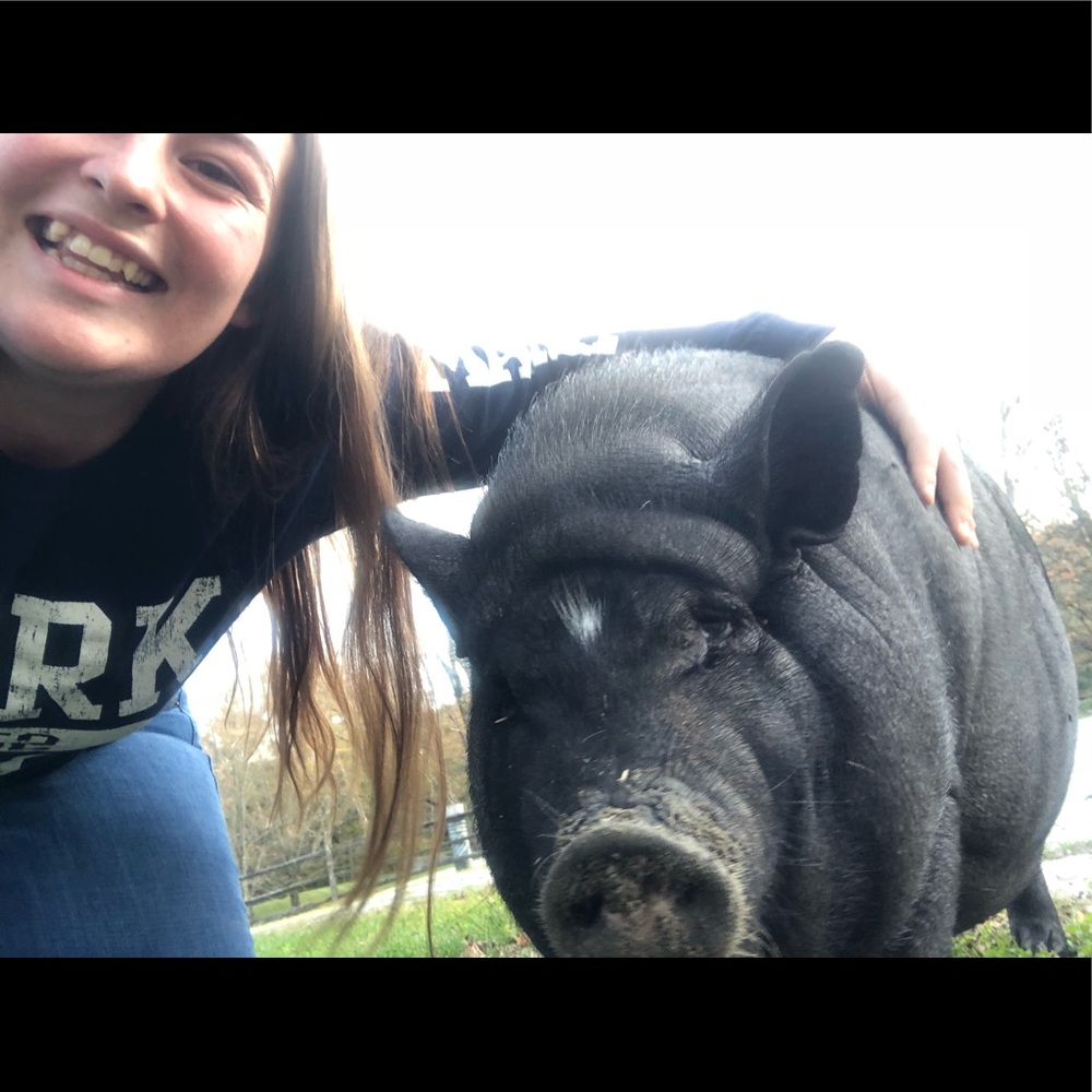 Meet your Posher, Holly