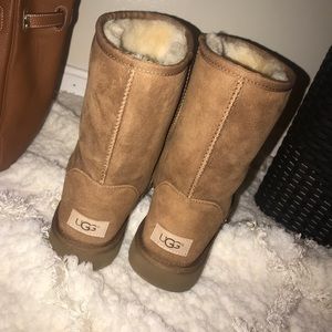 BRAND NEW Short Uggs🌸