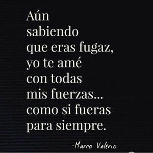 Meet your Posher, Janine