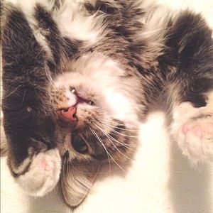 Meet your Posher, Yukari