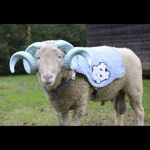 Meet your Posher, Garrett