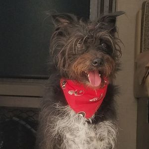 Meet your Posher, Peggy