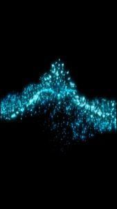 Meet your Posher, Betty