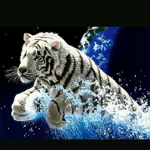 Meet your Posher, Jon